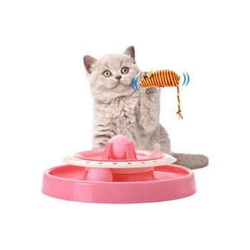 gato